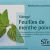 SIDROGA Pfefferminzblätter 20 Btl 1.5 g – Bild 2