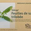 SIDROGA Salbeiblätter 20 Btl 1 g – Bild 2