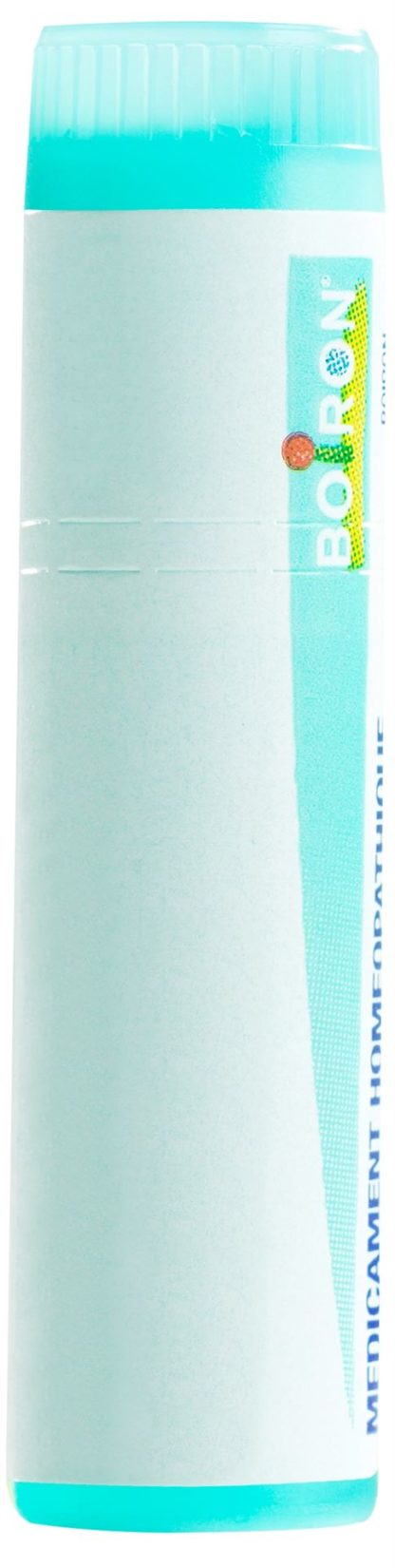 BOIRON Thuya occidentalis Glob 200 K 1 Dos