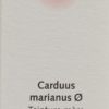 CERES Carduus marianus Urtinkt Fl 20 ml – Bild 2