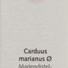 CERES Carduus marianus Urtinkt Fl 20 ml