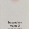 CERES Tropaeolum majus Urtinkt Fl 20 ml – Bild 2