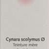 CERES Cynara scolymus Urtinkt Fl 20 ml – Bild 2
