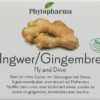 PHYTOPHARMA Ingwer Fly & Drive Pastillen 40 Stk