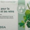 SIDROGA Blasen- und Nierentee 20 Btl 1.3 g – Bild 2