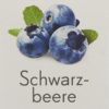 PHYTOPHARMA Schwarzbeere Tabl 150 Stk