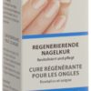 DIKLA regenerierende Nagelkur 50 ml – Bild 2