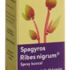 SPAGYROS Ribes nigrum Mundspray D 1 30 ml – Bild 4