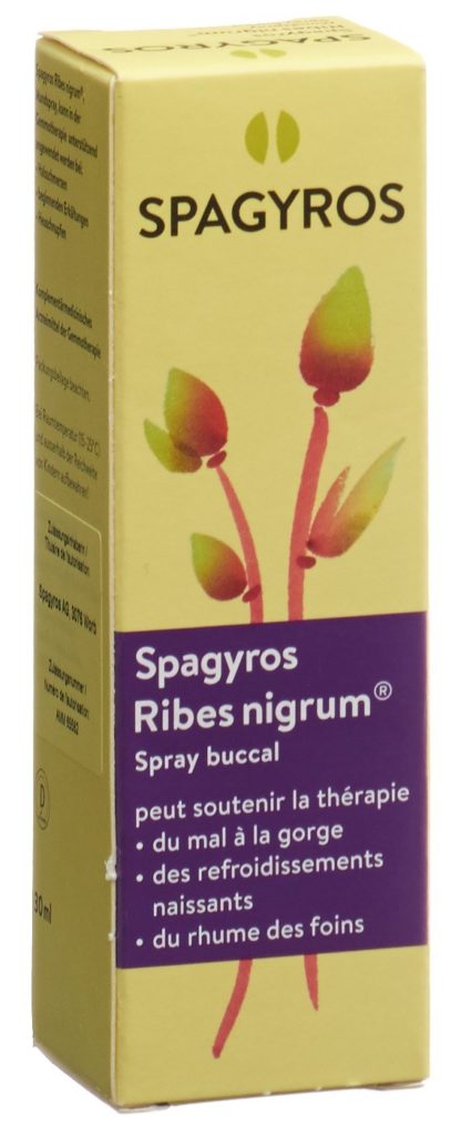 SPAGYROS Ribes nigrum Mundspray D 1 30 ml – Bild 4
