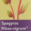 SPAGYROS Ribes nigrum Mundspray D 1 30 ml – Bild 2