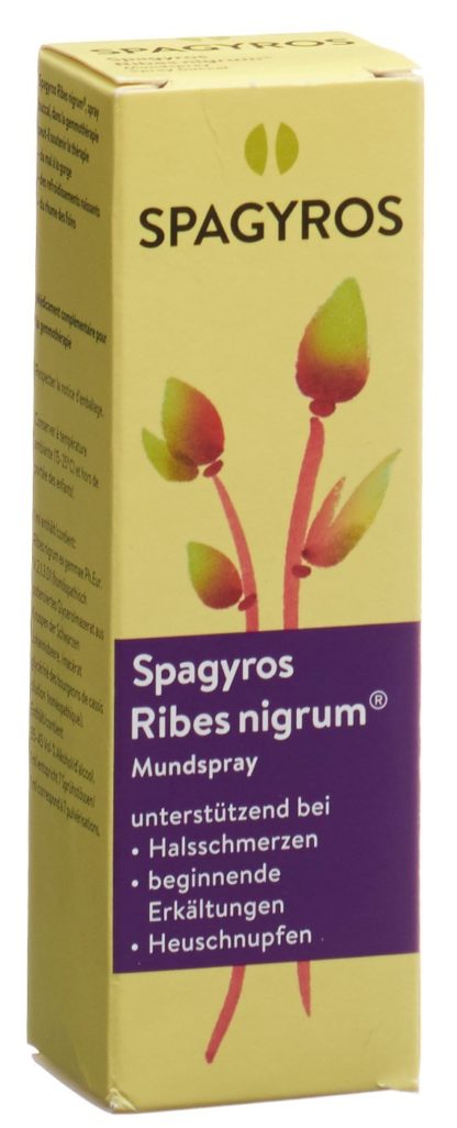 SPAGYROS Ribes nigrum Mundspray D 1 30 ml – Bild 3