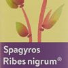 SPAGYROS Ribes nigrum Mundspray D 1 30 ml