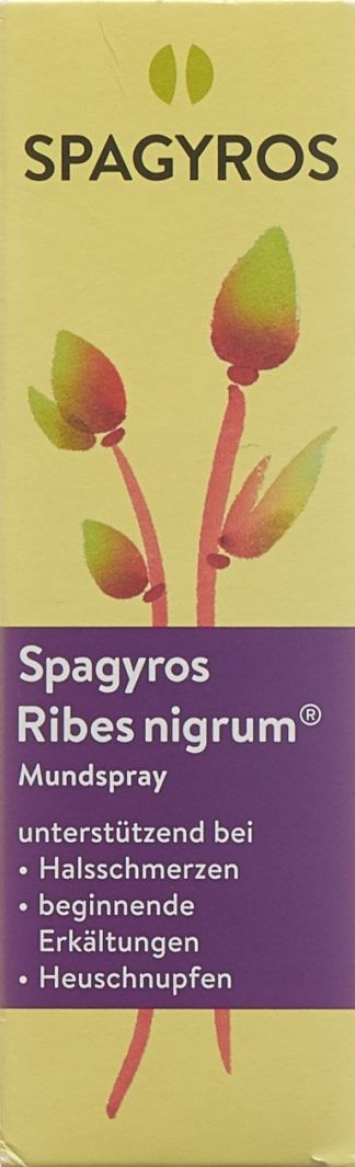 SPAGYROS Ribes nigrum Mundspray D 1 30 ml