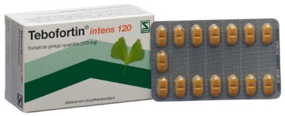 TEBOFORTIN intens 120 Filmtabl 120 mg 90 Stk – Bild 6