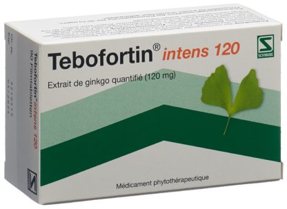 TEBOFORTIN intens 120 Filmtabl 120 mg 90 Stk – Bild 4