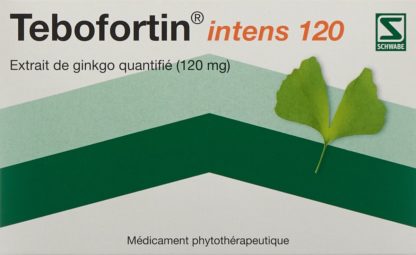 TEBOFORTIN intens 120 Filmtabl 120 mg 90 Stk – Bild 2