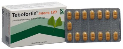 TEBOFORTIN intens 120 Filmtabl 120 mg 90 Stk – Bild 5