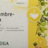 SIDROGA Ingwer-Zitrone Btl 20 Stk – Bild 2