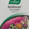 VOGEL Boldosan Leber-Galle Tabl Glas 60 Stk – Bild 2