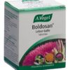 VOGEL Boldosan Leber-Galle Tabl Glas 60 Stk – Bild 3