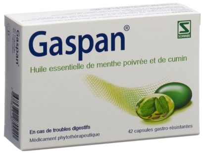 GASPAN Kaps magensaftresistent 42 Stk – Bild 4