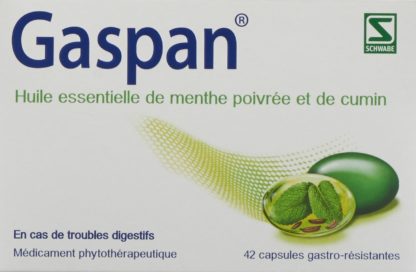 GASPAN Kaps magensaftresistent 42 Stk – Bild 2