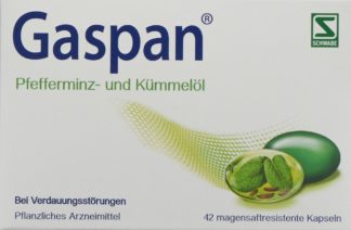 GASPAN Kaps magensaftresistent 42 Stk