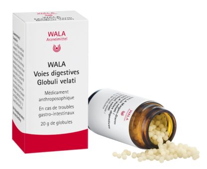 WALA Magen-Darm Glob Fl 20 g – Bild 4