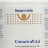 BURGERSTEIN ChondroVital Tabl Ds 90 Stk
