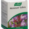 VOGEL Menosan Salvia Tabl Glas 90 Stk – Bild 3