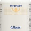 BURGERSTEIN Collagen Plv Ds 110 g