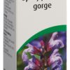 VOGEL Halsschmerz-Spray Fl 30 ml – Bild 4