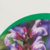 VOGEL Halsschmerz-Spray Fl 30 ml – Bild 2
