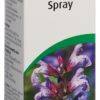 VOGEL Halsschmerz-Spray Fl 30 ml – Bild 3