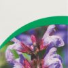 VOGEL Halsschmerz-Spray Fl 30 ml