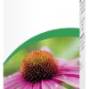 VOGEL Echinaforce Hot Drink Heissgetränk 100 ml – Bild 2