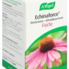 VOGEL Echinaforce Resist-Erkält forte Tabl 120 Stk – Bild 4