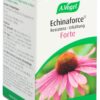 VOGEL Echinaforce Resist-Erkält forte Tabl 120 Stk – Bild 3