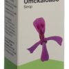 UMCKALOABO Sirup Fl 100 ml – Bild 4