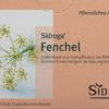 SIDROGA Fenchel 20 Btl 2 g
