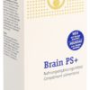 BURGERSTEIN Brain PS+ Kaps 60 Stk – Bild 2