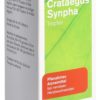CRATAEGUS Synpha Tropfen Fl 100 ml