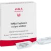 WALA Euphrasia Gtt Opht 15 Monodos 0.5 ml – Bild 4