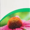 VOGEL Echinaforce Resistenz Erkält Tropfen 50 ml