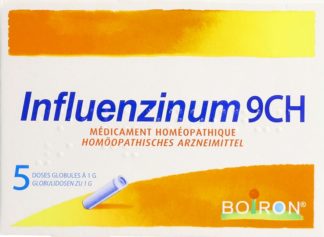 BOIRON Influenzinum Glob C 9 2025/2026 5 x 1 Dos