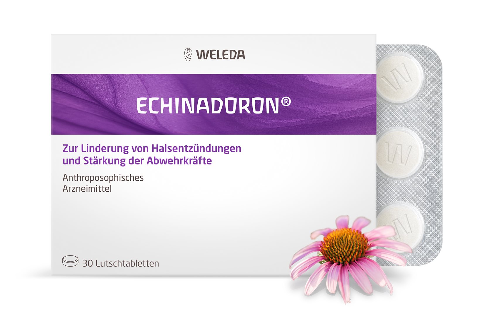 ECHINADORON neue Formel Lutschtabl 30 Stk – Bild 6