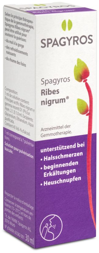 SPAGYROS Ribes nigrum Mundspray D 1 30 ml