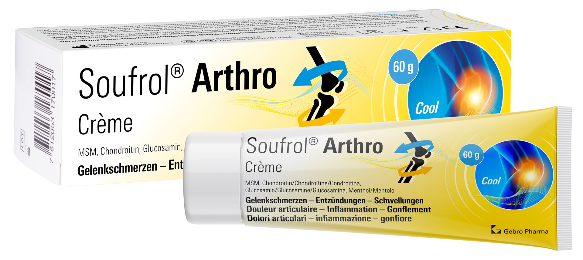 SOUFROL Arthro Creme Tb 60 g